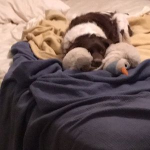 Meet your Posher, Aj